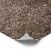 Pond Waterscape Sunset Photo Poster (Ecke)