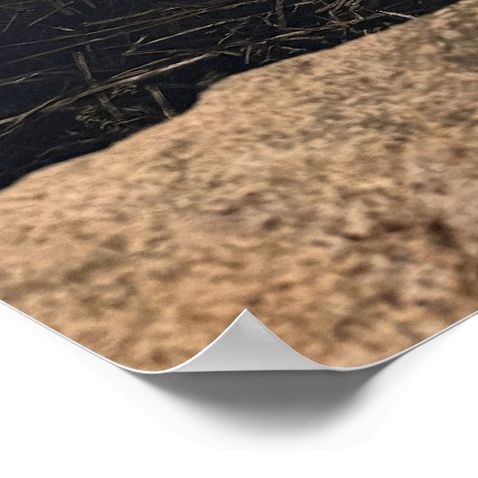 Pond Waterscape Sunset Photo Poster (Ecke)