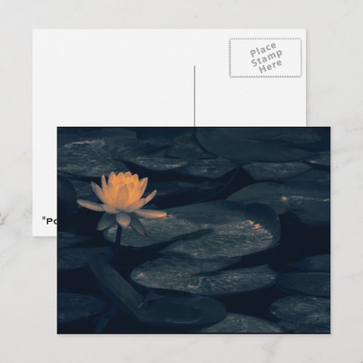 "Pondering am Teich" - Postkarte (Vorne/Hinten)