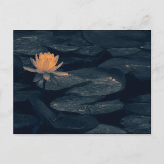 "Pondering am Teich" - Postkarte (Vorderseite)