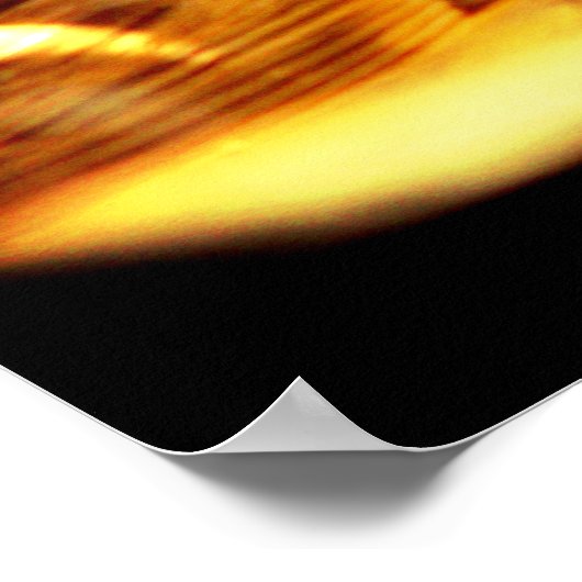 Pondering Sparrow Poster (Ecke)