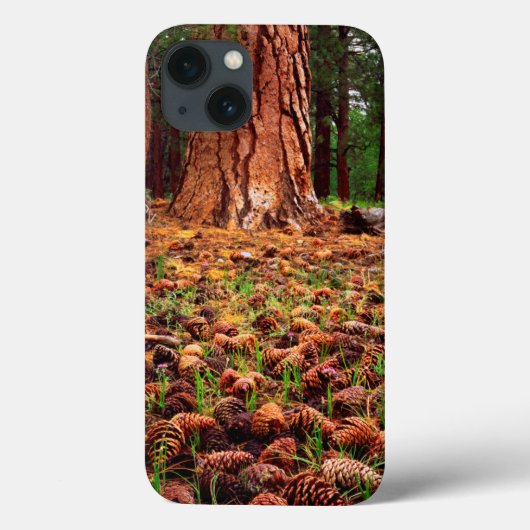 Ponderosa-Baum mit Kiefern Case-Mate iPhone Hülle (Rückseite)