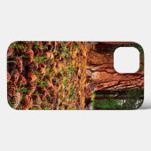 Ponderosa-Baum mit Kiefern Case-Mate iPhone Hülle (Rückseite (Horizontal))