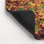 Ponderosa-Baum mit Kiefern Mousepad (Ecke)