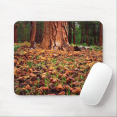 Ponderosa-Baum mit Kiefern Mousepad (Mit Mouse)