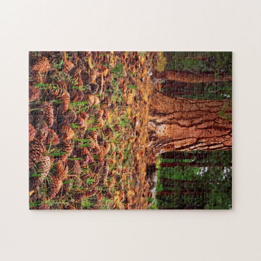 Ponderosa-Baum mit Kiefern Puzzle (Horizontal)