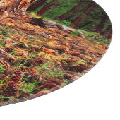 Ponderosa-Baum mit Kiefern Schneidebrett (Ecke)