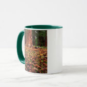 Ponderosa-Baum mit Kiefern Tasse (Vorderseite Links)