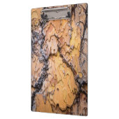 Ponderosa-Kiefernrinde, Washington Klemmbrett (Links)