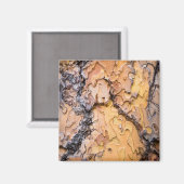 Ponderosa-Kiefernrinde, Washington Magnet (Vorderseite/Rückseite)