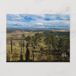 Ponderosa Pine aus Devils Tower Postkarte