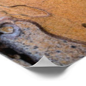 Ponderosa pine bark, Washington Poster (Ecke)