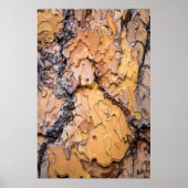 Ponderosa pine bark, Washington Poster (Vorne)