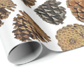 Ponderosa Pine Cone Wrapping Paper Geschenkpapier (Rolleneckpunkt)