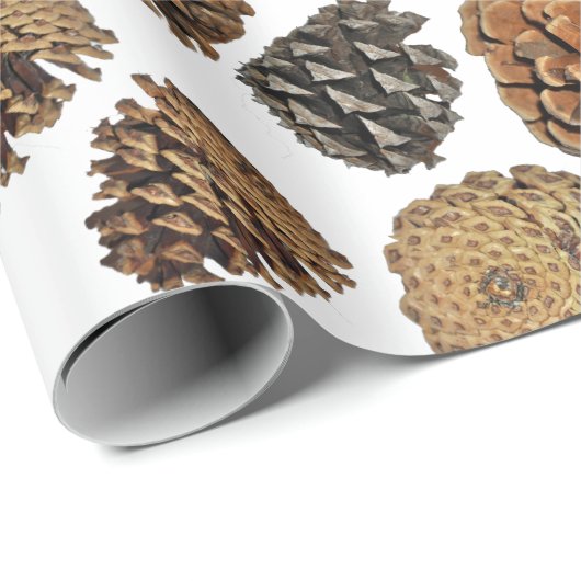 Ponderosa Pine Cone Wrapping Paper Geschenkpapier (Rolleneckpunkt)