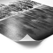 Ponderosa Pines Reflection Foto (Ecke)