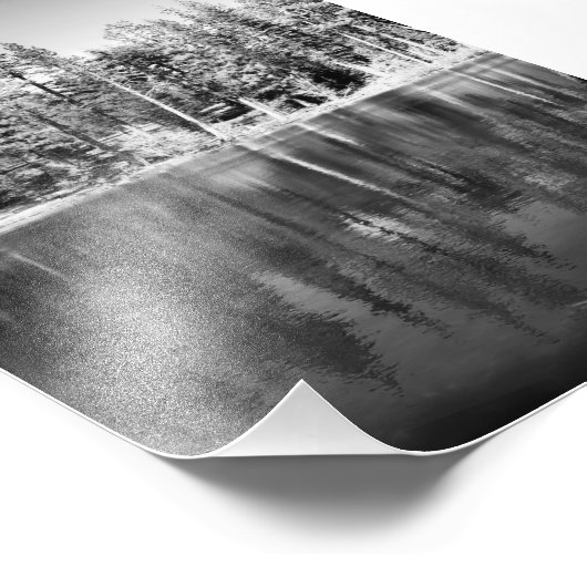 Ponderosa Pines Reflection Foto (Ecke)