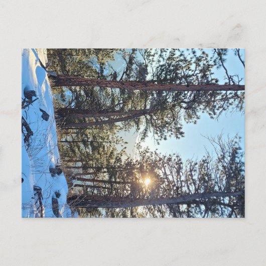 Ponderosa Shine Colorado Bergsee-Zauber Postkarte (Vorderseite)