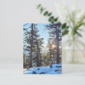 Ponderosa Shine Colorado Bergsee-Zauber Postkarte (Stehend Vorderseite)