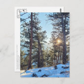 Ponderosa Shine Colorado Bergsee-Zauber Postkarte (Vorne/Hinten)