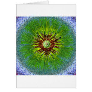 Ponderosa Sonnendurchbruch-Mandala