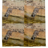 **"Pondside Fest: Ein Otter und seine Fänge"** Duschvorhang (Vorderseite)