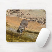 **"Pondside Fest: Ein Otter und seine Fänge"** Mousepad (Mit Mouse)