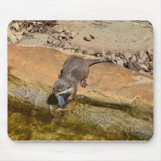 **"Pondside Fest: Ein Otter und seine Fänge"** Mousepad (Vorne)