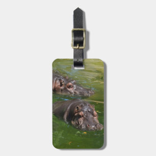**"Pondside Play: Zwei Hippos zusammen schwimmen"* Gepäckanhänger