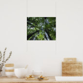 Pongabäume in üppiger, heimischer Buschlandschaft Poster (Küche)