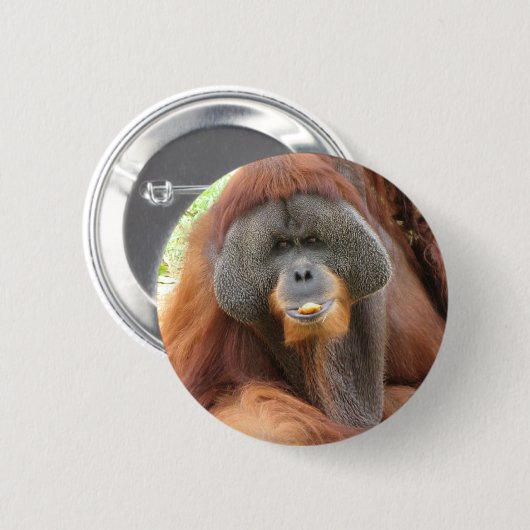 Pongo-Orang-Utan Affen-rundes Button (Vorne & Hinten)