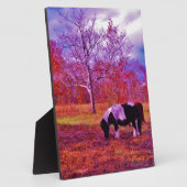 PONIEN IN EINEM RAINBOW-FELD FOTOPLATTE (Seite)