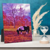 PONIEN IN EINEM RAINBOW-FELD FOTOPLATTE (Seite)