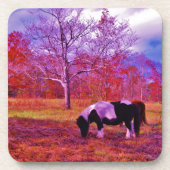 PONIEN IN EINEM RAINBOW-FELD GETRÄNKEUNTERSETZER (Vorderseite)