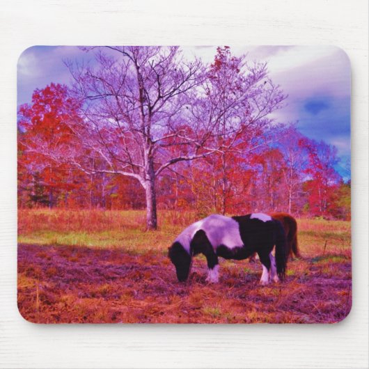 PONIEN IN EINEM RAINBOW-FELD MOUSEPAD (Vorne)