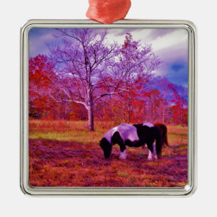 PONIEN IN EINEM RAINBOW-FELD ORNAMENT AUS METALL