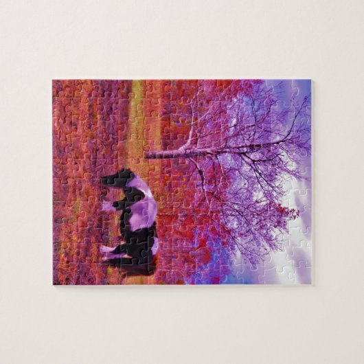 PONIEN IN EINEM RAINBOW-FELD PUZZLE (Horizontal)