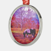 PONIEN IN EINEM RAINBOW-FELD SILBERNES ORNAMENT (Links)