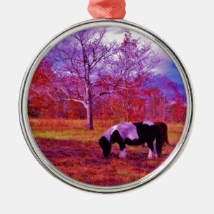 PONIEN IN EINEM RAINBOW-FELD SILBERNES ORNAMENT