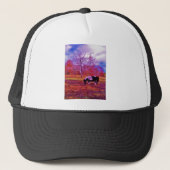 PONIEN IN EINEM RAINBOW-FELD TRUCKERKAPPE (Vorderseite)