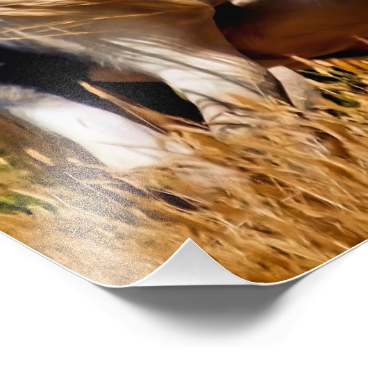 PONIES FOTODRUCK (Ecke)