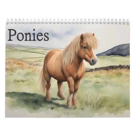Ponies Kalender (Titelbild)