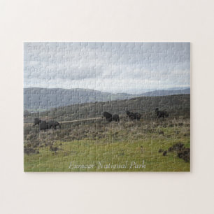 Ponies on Exmoor National Park, England Puzzle