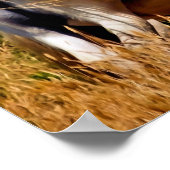 PONIES POSTER (Ecke)