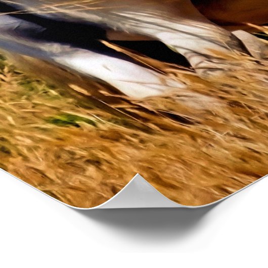 PONIES POSTER (Ecke)