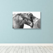 Ponies Scratch Leinwanddruck (Insitu (Holzboden))