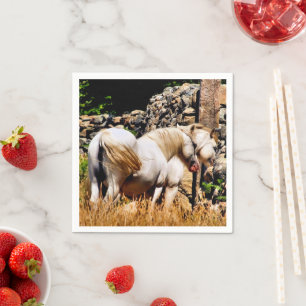 PONIES SERVIETTE