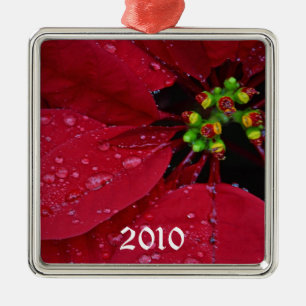 Ponsettia Weihnachtsschmuck