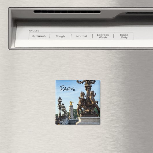 Pont Alexandre lll bridge - Paris, Frankreich Magnet (In Situ (Geschirrspüler))