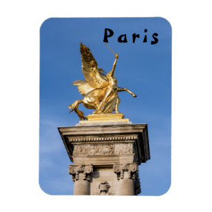Pont Alexandre lll Brücke - Paris, Frankreich Magnet